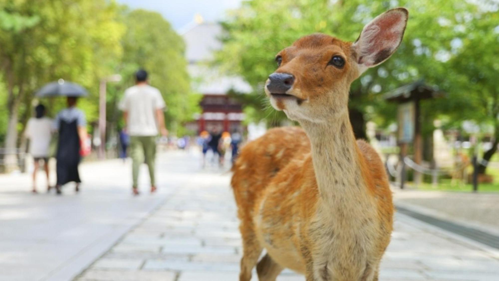 Hotel Arashi Nambaminami Osaka Eksteriør billede